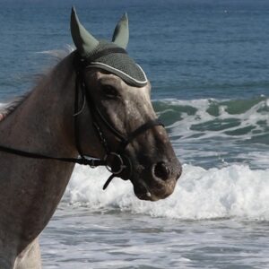 3-daagse paardrijtocht rond Psiloritis & de Witte Bergen Kreta - Griekenland - Afbeelding 7