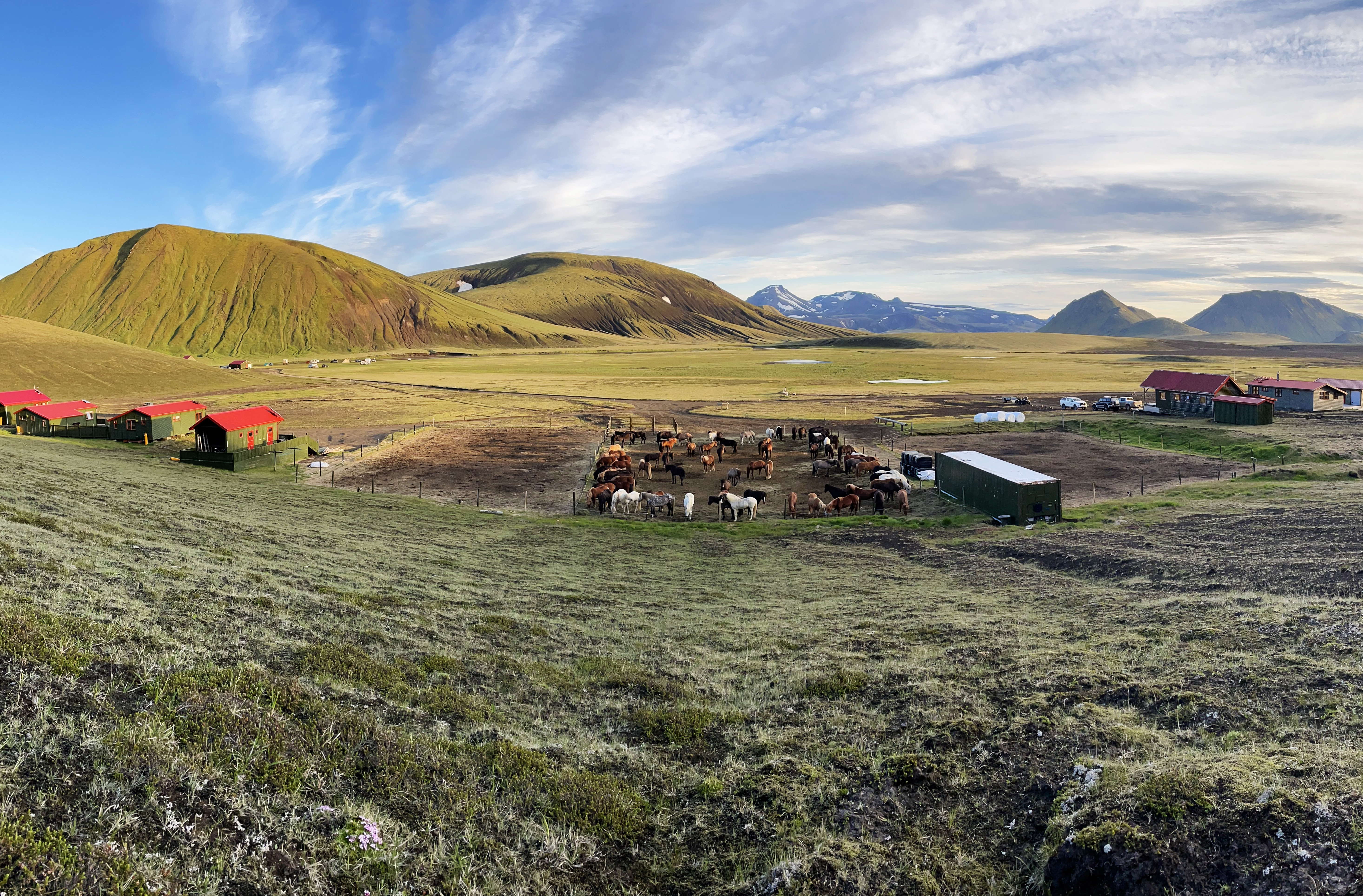 7-daagse paardrijtocht naar Landmannalaugar - IJsland - Afbeelding 2