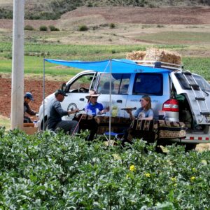 6-daagse paardrijtocht Condor’s Canyon- Peru - Afbeelding 3