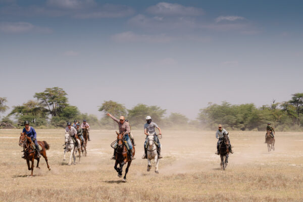 8-daagse Paardrijsafari Kilimanjaro Olifantenattractie - Tanzania