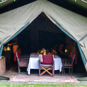 8-daagse Paardrijsafari Kilimanjaro Olifantenattractie - Tanzania - Afbeelding 21