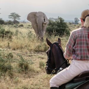 8-daagse Paardrijsafari Kilimanjaro Olifantenattractie - Tanzania - Afbeelding 2