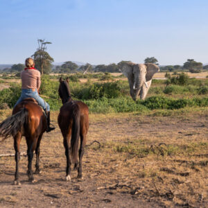 8-daagse Paardrijsafari Kilimanjaro Olifantenattractie - Tanzania - Afbeelding 4