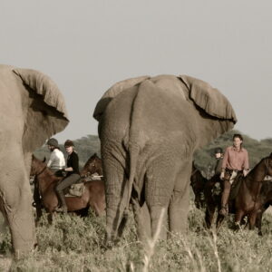 8-daagse Paardrijsafari Kilimanjaro Olifantenattractie - Tanzania - Afbeelding 7