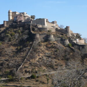 8-daagse paardrijtocht Paleis naar Paleis – India - Afbeelding 4