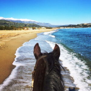 3-daagse paardrijtocht rond Psiloritis & de Witte Bergen Kreta - Griekenland - Afbeelding 5