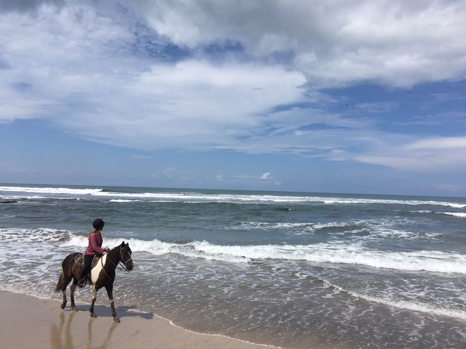 10-daagse Paardrijdtocht van berglandschappen naar de Pacifische kust - Costa Rica - Afbeelding 19