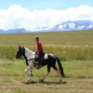 2-daagse paardrijtocht Andes Identiteit - Peru - Afbeelding 4
