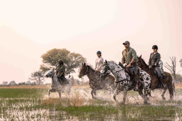 8-daagse paardrijsafari in de Okavango Delta - Botswana