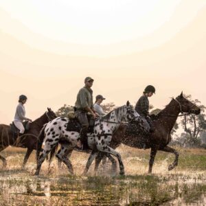 11-daagse Paardrijsafari in de Okavango Delta – Botswana - Afbeelding 2
