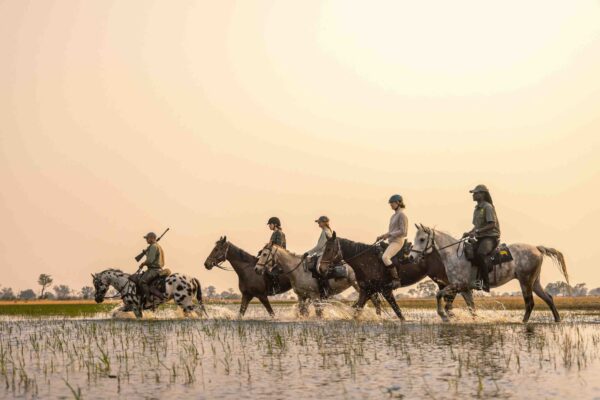 6-daagse paardrijsafari in de Okavango Delta - Botswana
