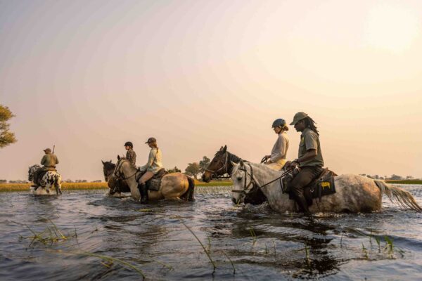 11-daagse Paardrijsafari in de Okavango Delta – Botswana