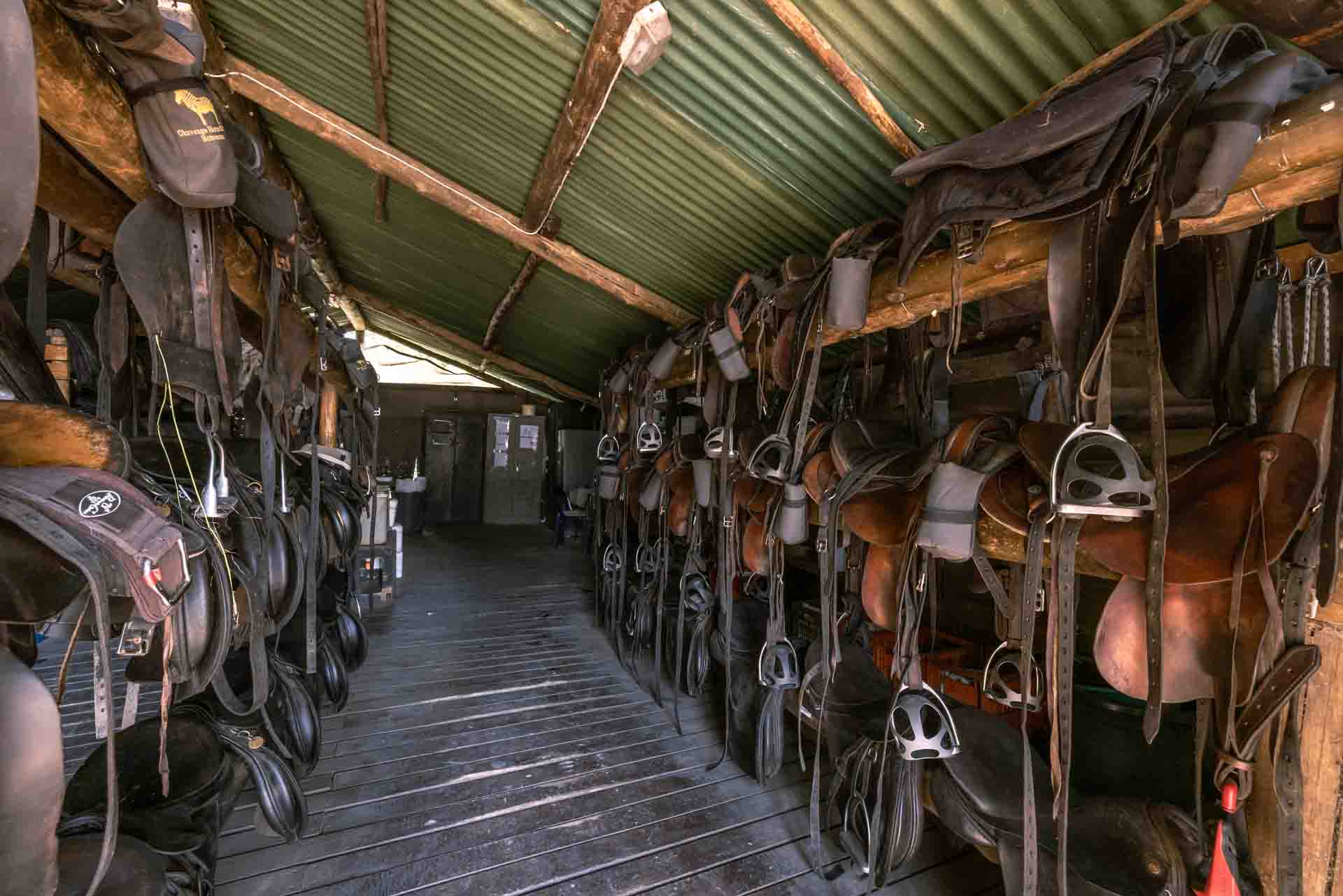 8-daagse paardrijsafari in de Okavango Delta - Botswana