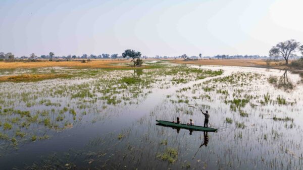 8-daagse paardrijsafari in de Okavango Delta - Botswana