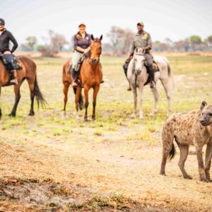 11-daagse Paardrijsafari in de Okavango Delta – Botswana - Afbeelding 7