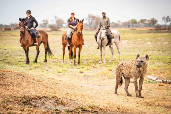 11-daagse Paardrijsafari in de Okavango Delta – Botswana