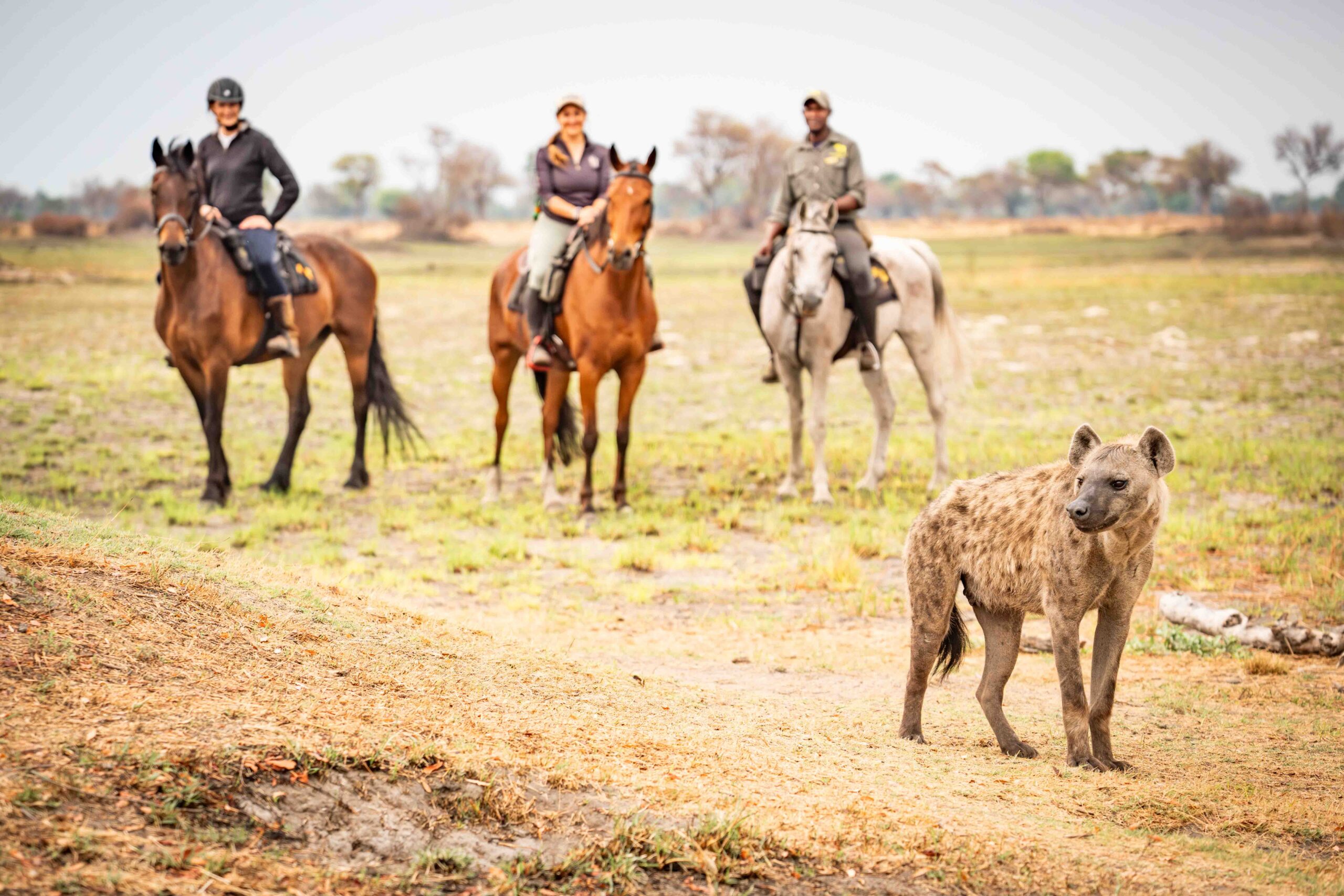11-daagse Paardrijsafari in de Okavango Delta – Botswana - Afbeelding 7