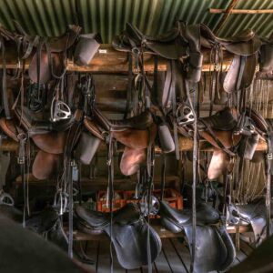 11-daagse Paardrijsafari in de Okavango Delta – Botswana - Afbeelding 17