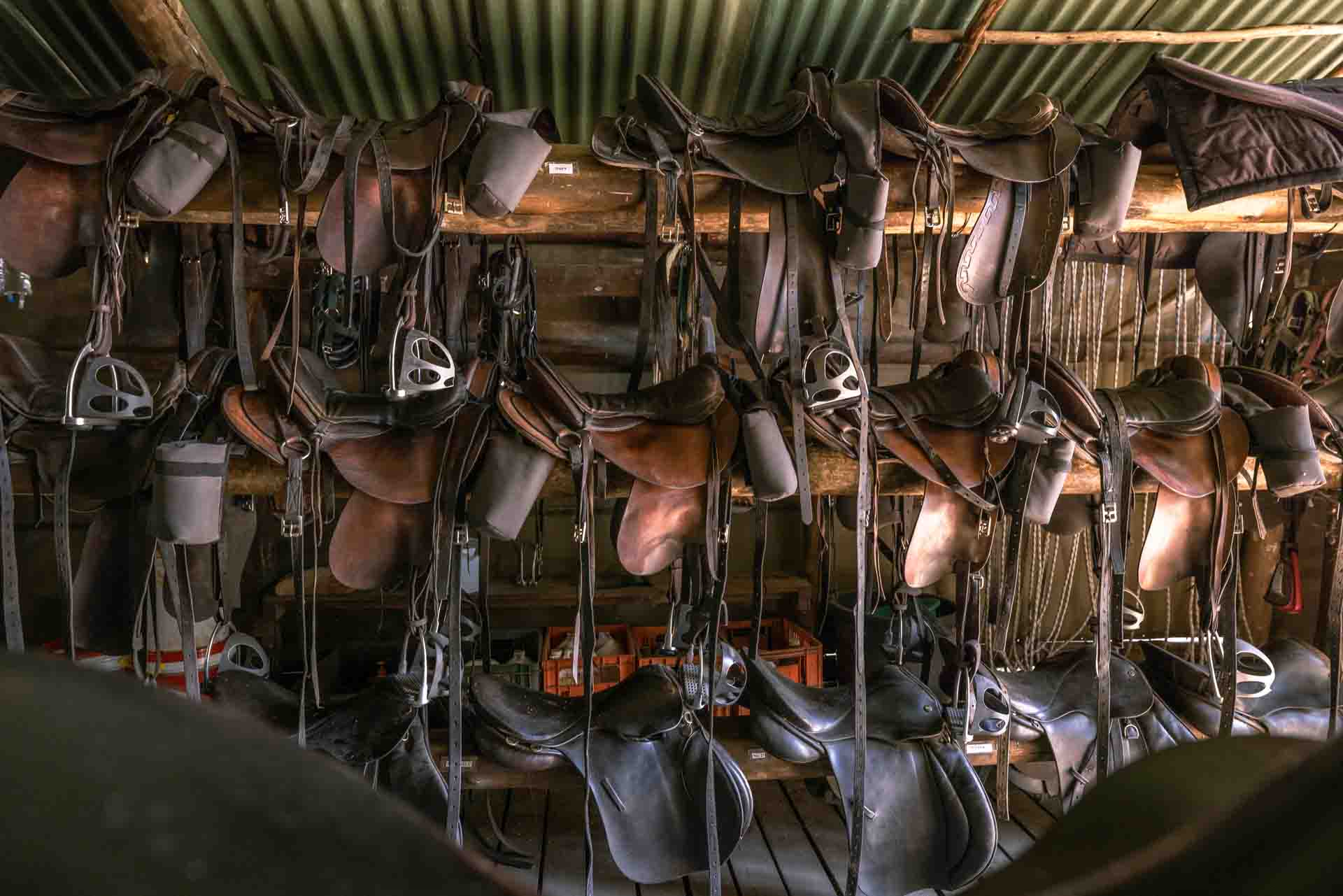 11-daagse Paardrijsafari in de Okavango Delta – Botswana