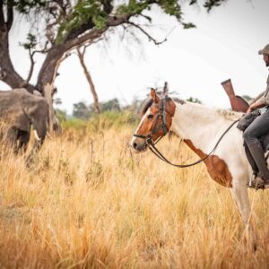 8-daagse paardrijsafari in de Okavango Delta - Botswana