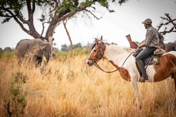 8-daagse paardrijsafari in de Okavango Delta - Botswana