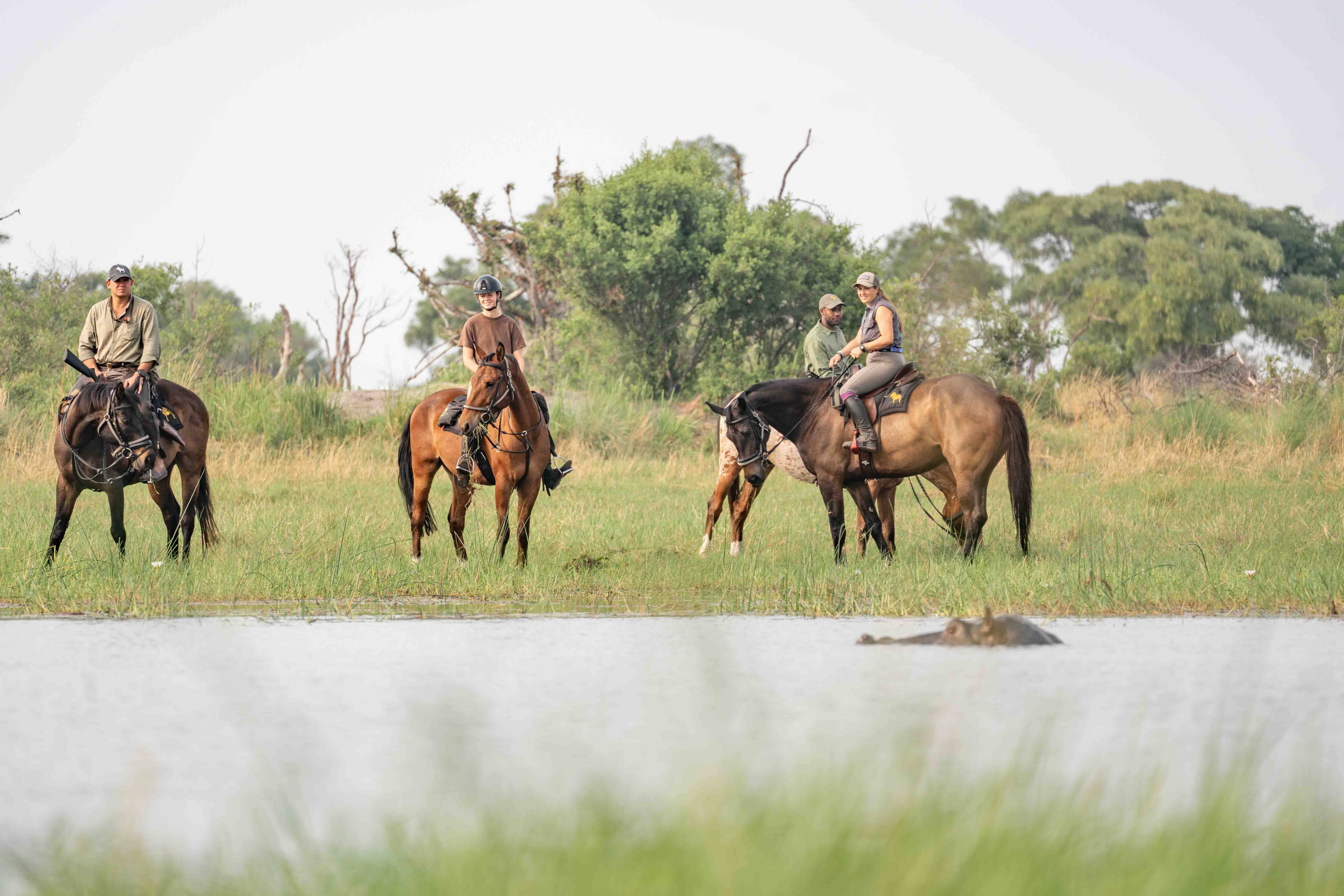 8-daagse paardrijsafari in de Okavango Delta - Botswana - Afbeelding 2