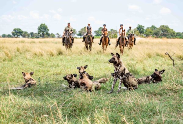 8-daagse paardrijsafari in de Okavango Delta - Botswana