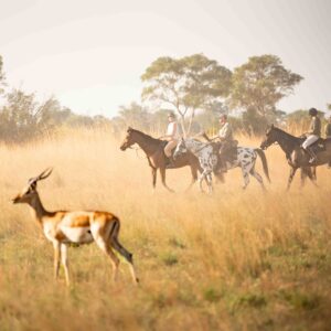6-daagse paardrijsafari in de Okavango Delta - Botswana