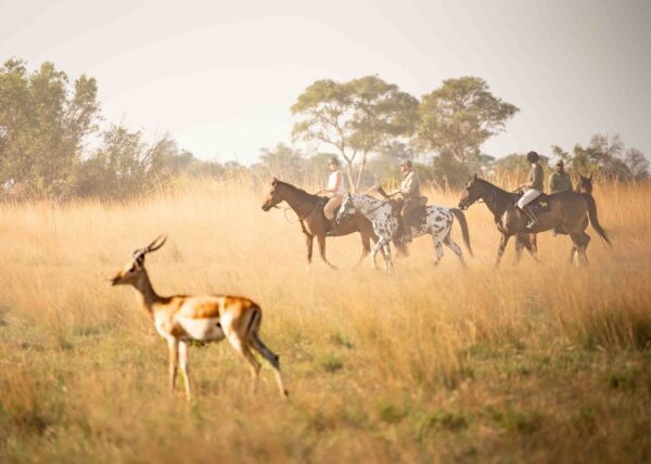 6-daagse paardrijsafari in de Okavango Delta - Botswana