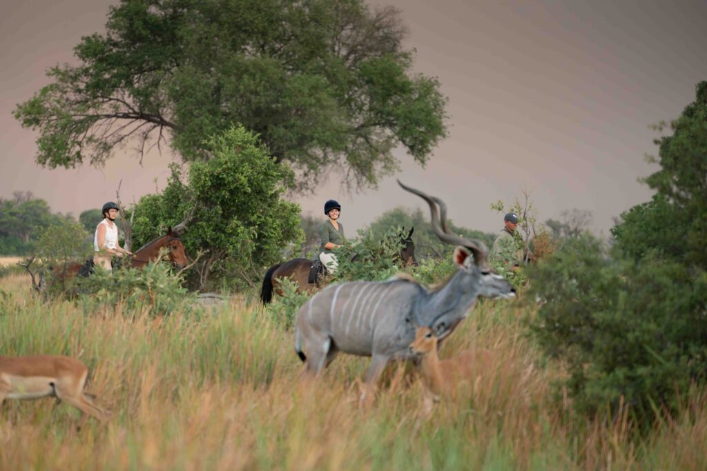6-daagse paardrijsafari in de Okavango Delta - Botswana