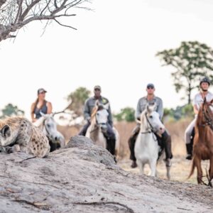 11-daagse Paardrijsafari in de Okavango Delta – Botswana - Afbeelding 4
