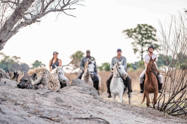11-daagse Paardrijsafari in de Okavango Delta – Botswana