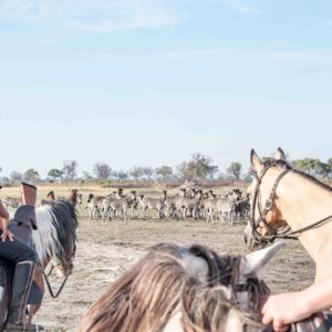 8-daagse paardrijsafari in de Okavango Delta - Botswana - Afbeelding 6