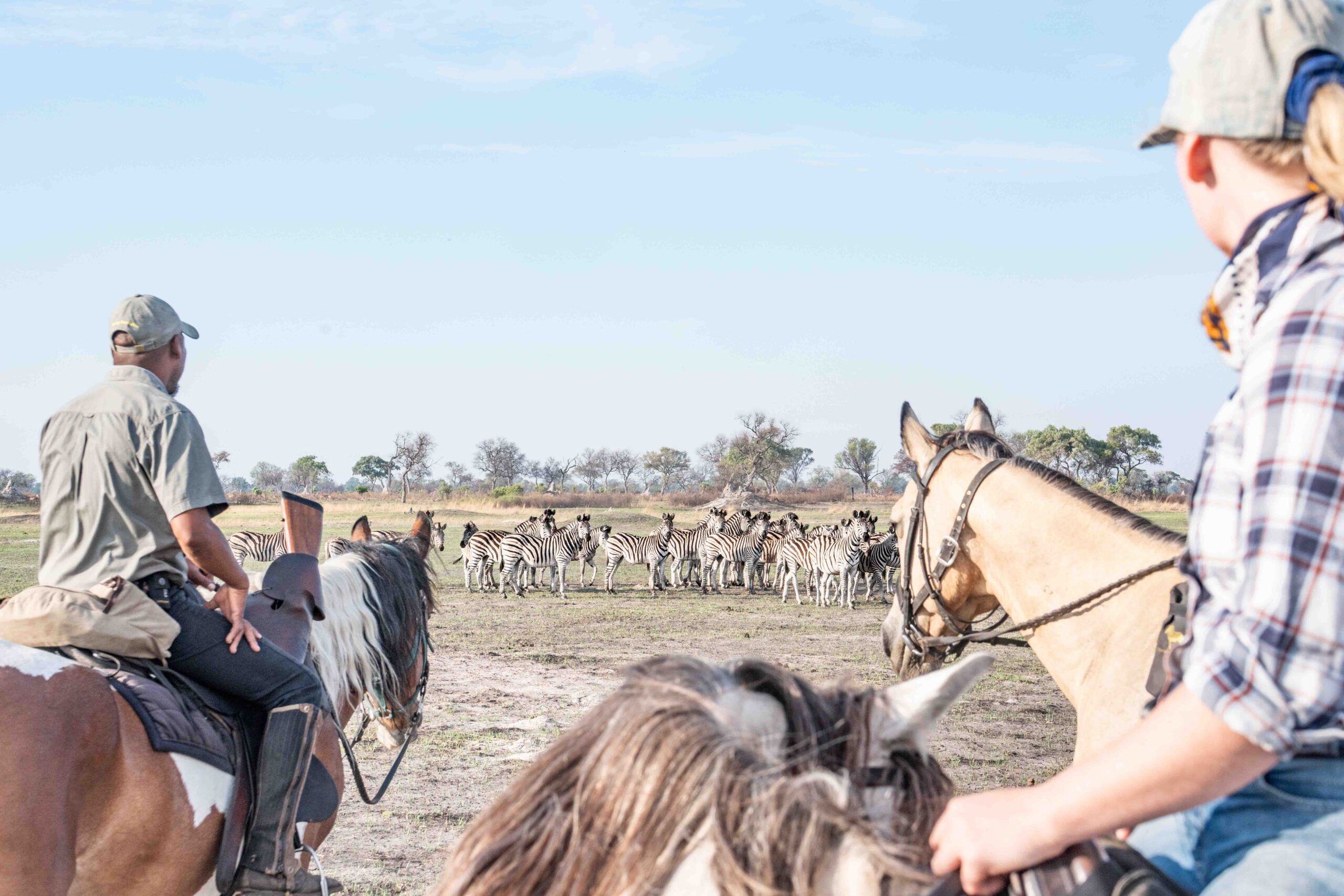 8-daagse paardrijsafari in de Okavango Delta - Botswana - Afbeelding 6