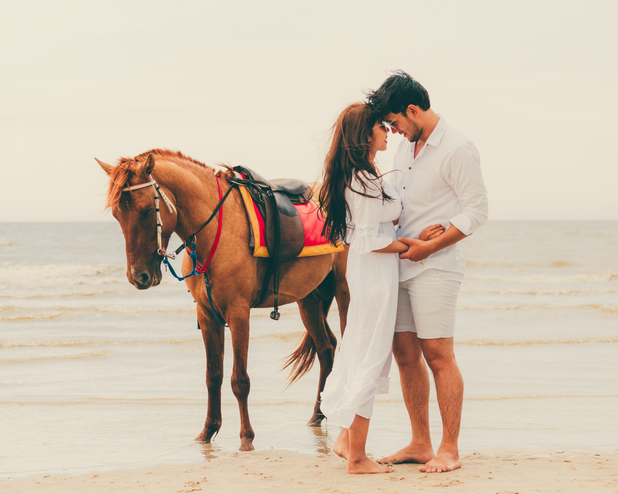 Buitenrit Romantiek met picknick Eros-strand Santorini - Griekenland - Afbeelding 1