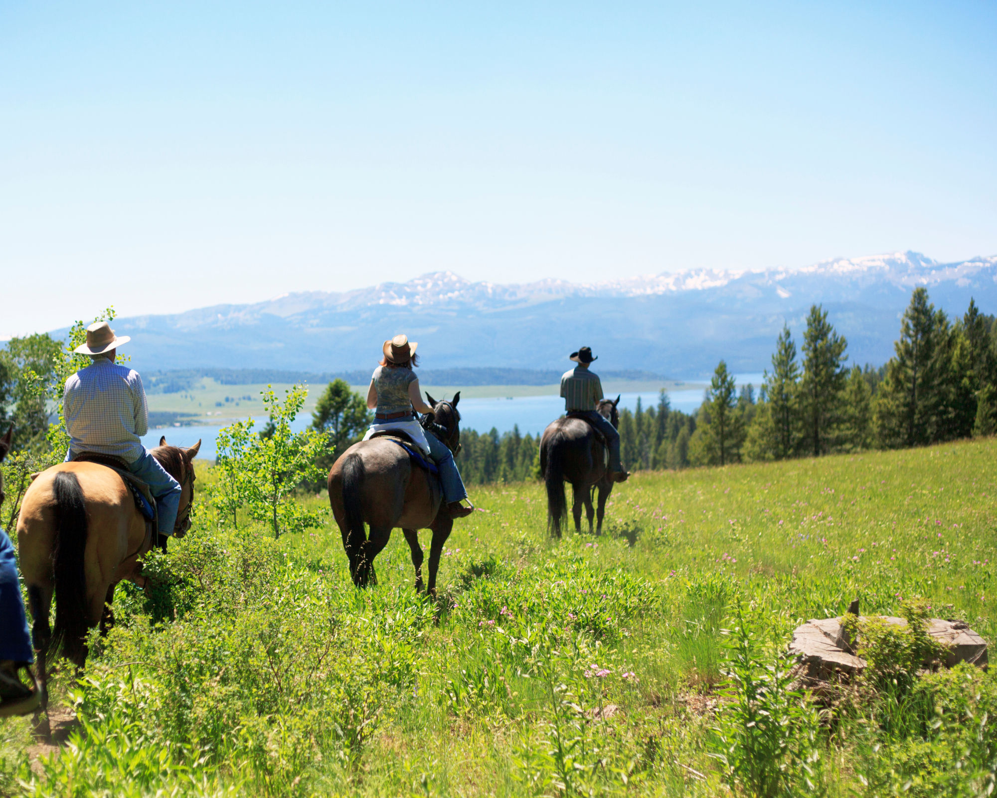 4-daagse paardrijtocht Swartberg Mountains - Klein Karoo