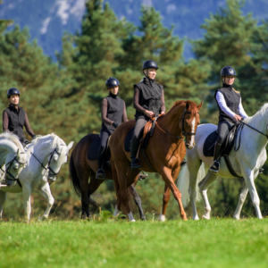 Buitenritten (evt. met overnachting) in Lillehammer - Noorwegen