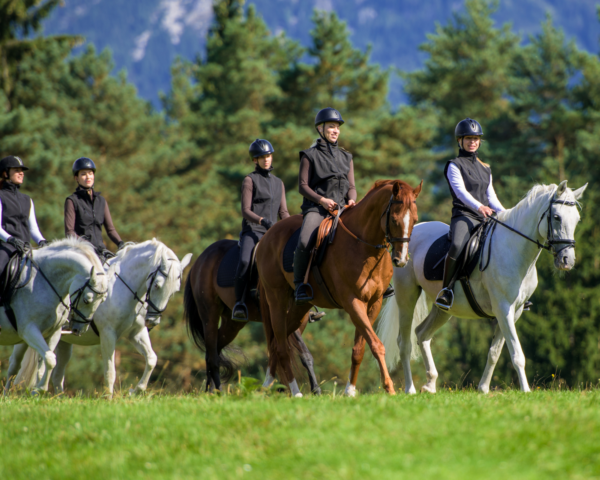 Buitenritten (evt. met overnachting) in Lillehammer - Noorwegen