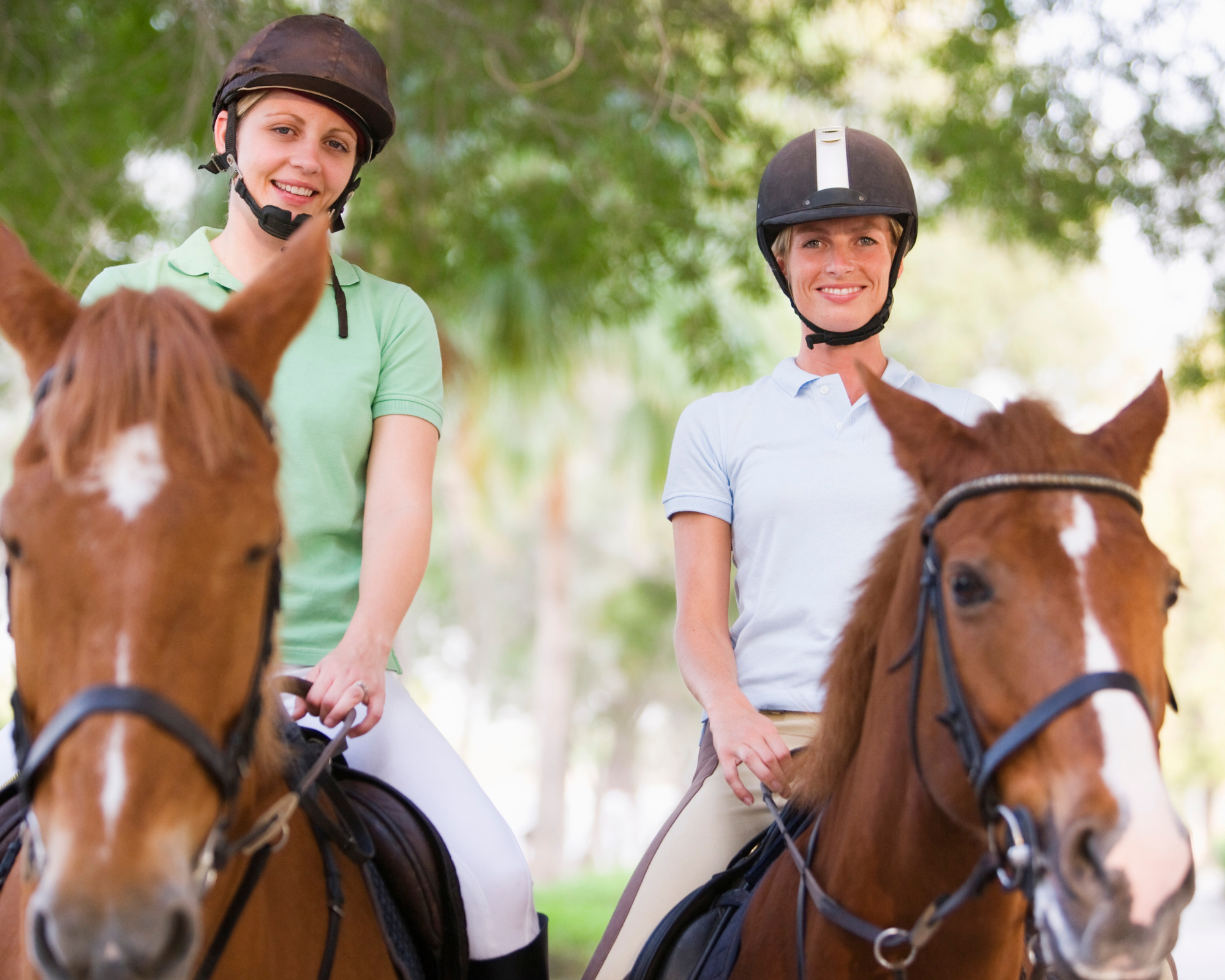 Buitenritten in de Dolomieten Veneto- Italië - Afbeelding 1