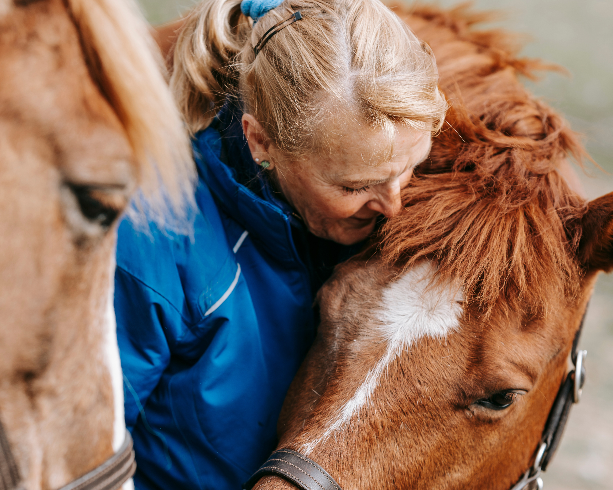 Paardrijkamp voor volwassenen Sjusjøen-gebied - Noorwegen