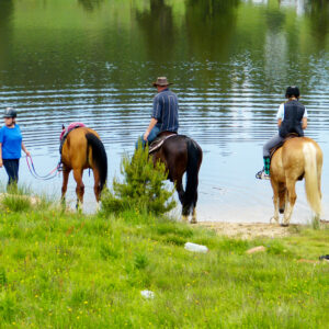 8-daagse paardrijtocht Thracië-tour - Bulgarije - Afbeelding 7
