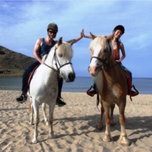 3-daagse paardrijtocht rond Psiloritis & de Witte Bergen Kreta - Griekenland - Afbeelding 4