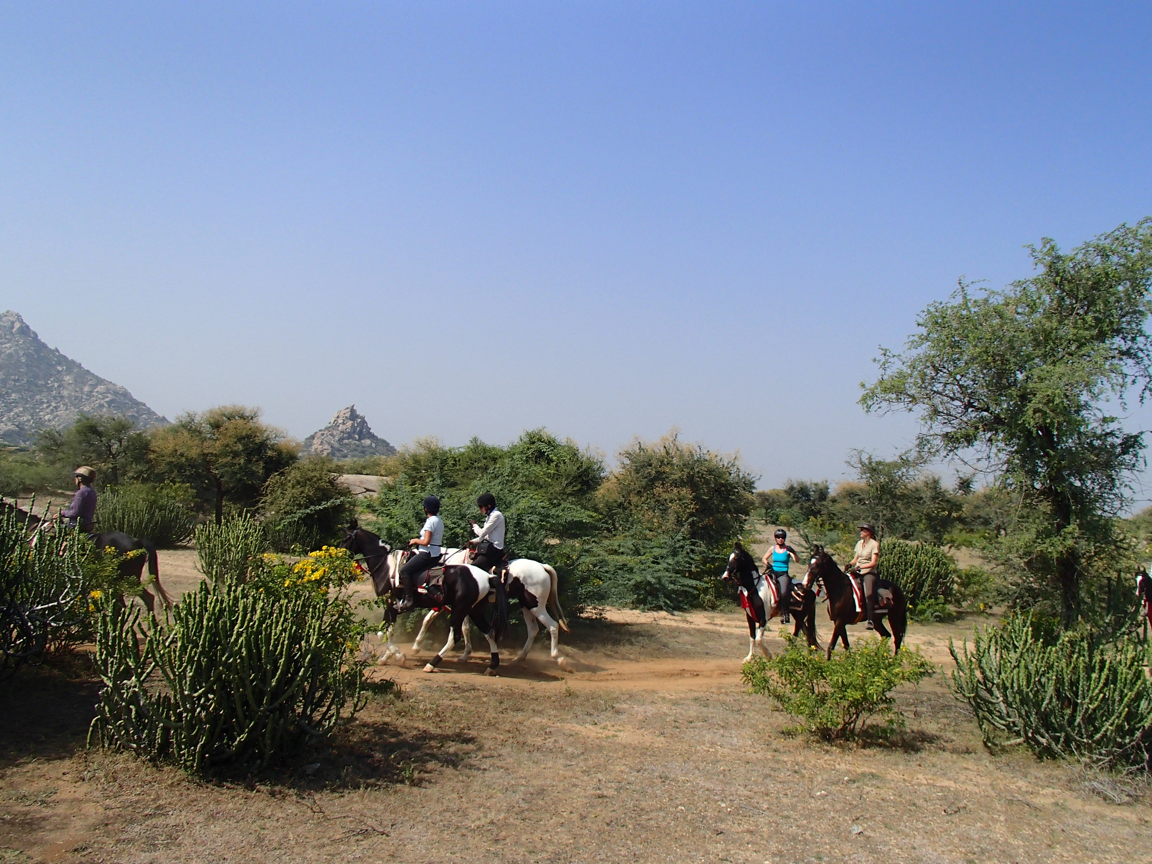 13-daagse paardrijtocht Le Grand Tour Rajasthan – India - Afbeelding 2