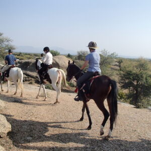 5 geplande groepsritten in 2026 en 2027 Rajasthan – India - Afbeelding 3