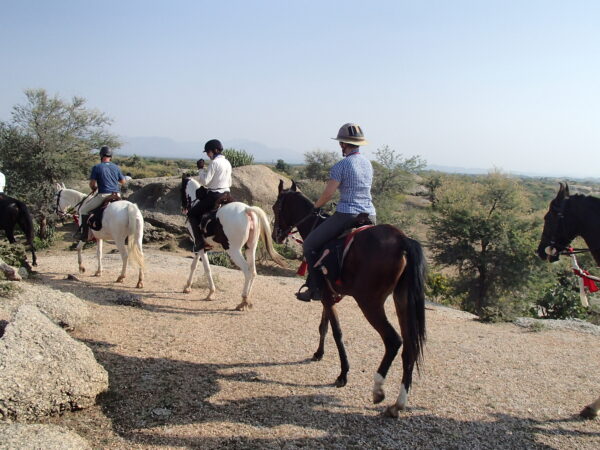 5 geplande groepsritten in 2026 en 2027 Rajasthan – India