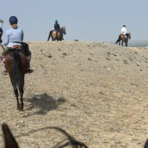 8- of 13-daagse paardrijtocht op Akhal-Teke paarden - Turkmenistan - Afbeelding 24