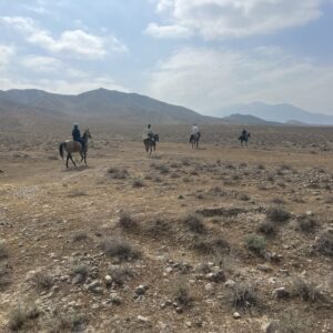 8- of 13-daagse paardrijtocht op Akhal-Teke paarden - Turkmenistan - Afbeelding 14