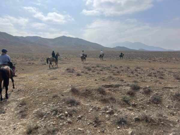 8- of 13-daagse paardrijtocht op Akhal-Teke paarden - Turkmenistan