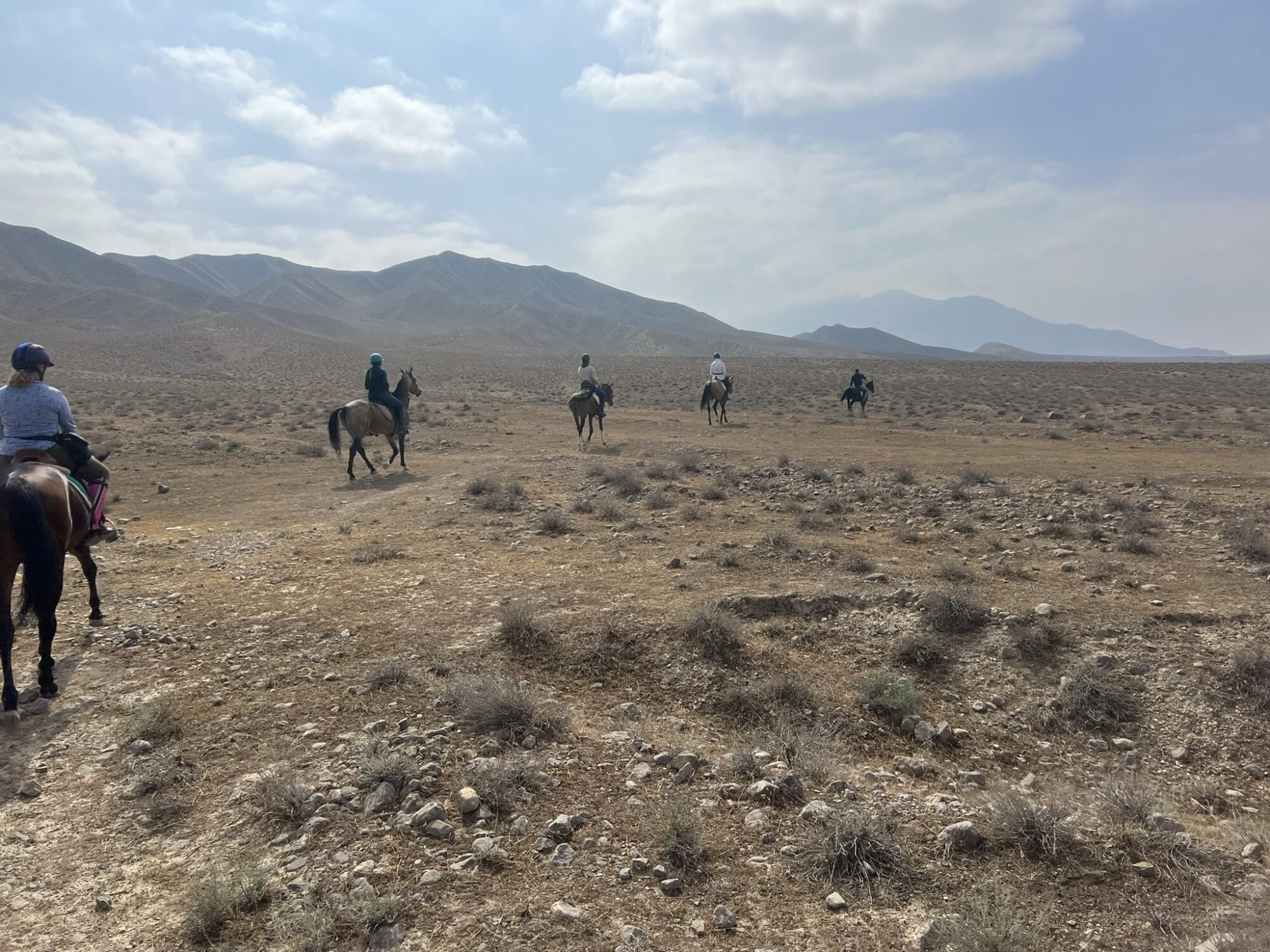 8- of 13-daagse paardrijtocht op Akhal-Teke paarden - Turkmenistan - Afbeelding 14