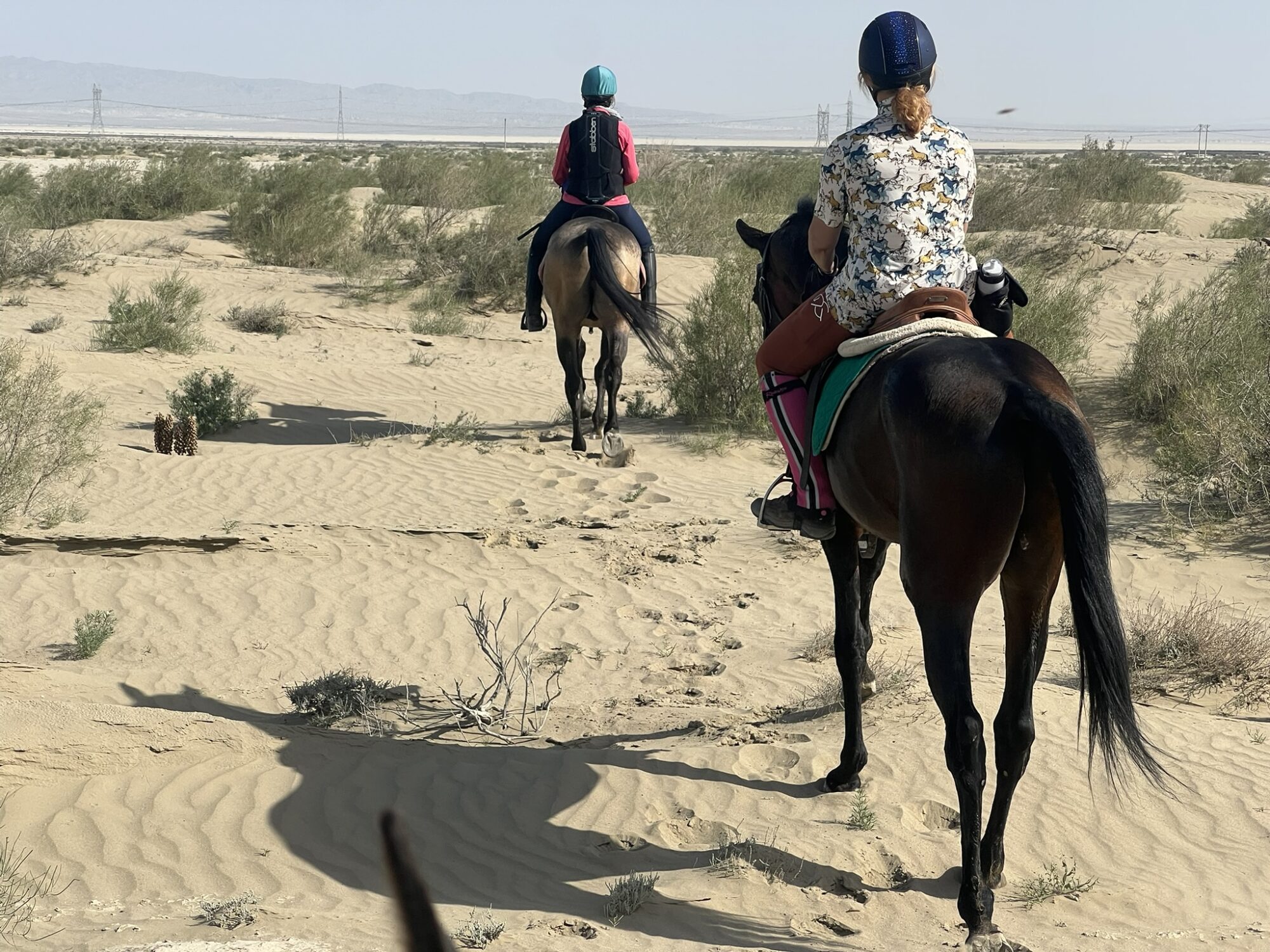 8- of 13-daagse paardrijtocht op Akhal-Teke paarden - Turkmenistan - Afbeelding 12